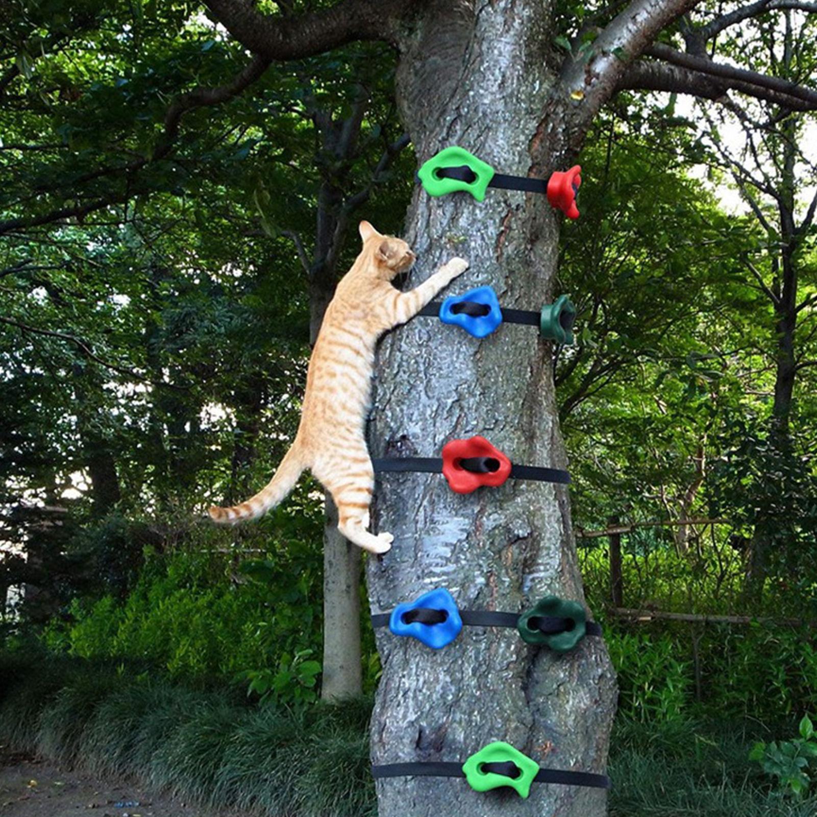 Equipamento de Escalada em Árv - Outdoor Adventure Store avaliação e preço