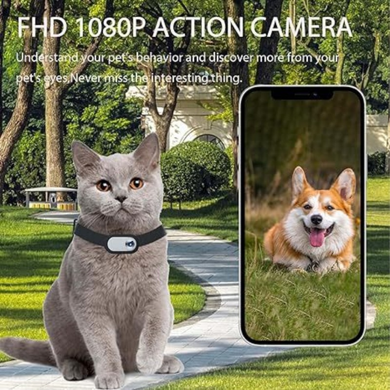Câmera de coleira para animais - Outdoor Adventure Video avaliação e preço
